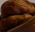 NoisetteAJumelles_2_Partiel