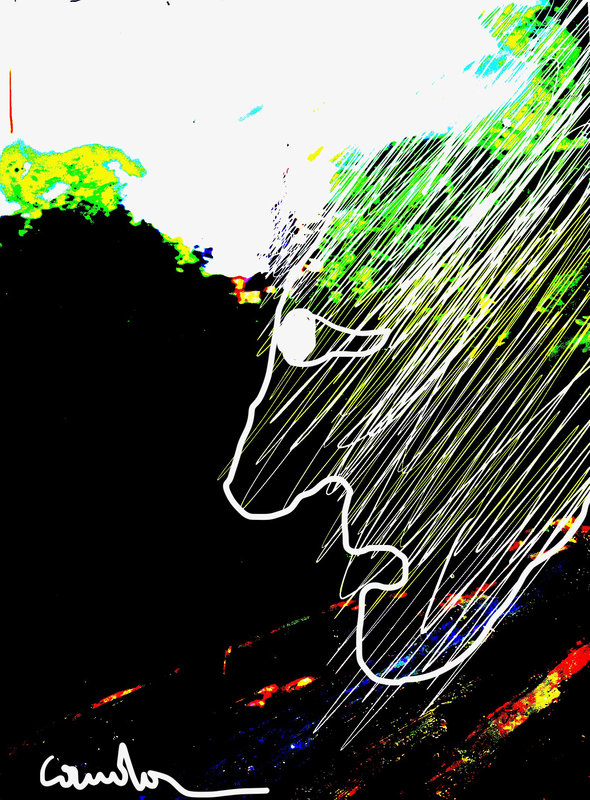 paysage 44