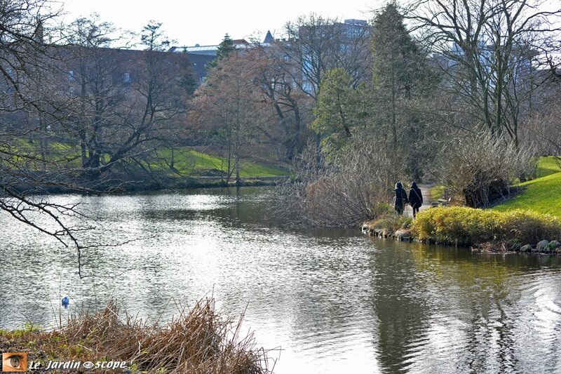 Botanisk Have de Copenhague