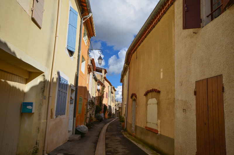DSC_0884