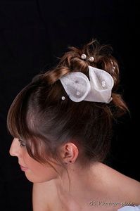 coiffure mariée