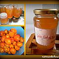 Gelée abricot-menthe