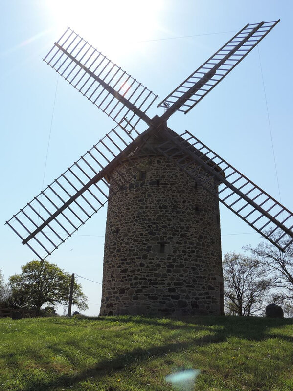 _copie-0_DSCN8770
