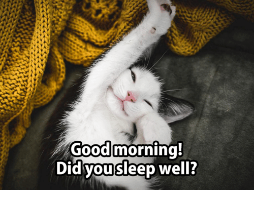 goodmorning-did-you-sleep-well-6183487