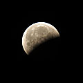 IMG_4699