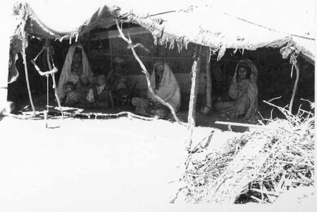 12_RCA_TETARD_nomades_copie