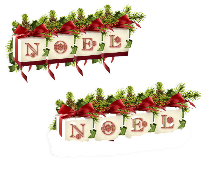 Image10noel