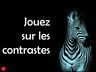 Diapositive17