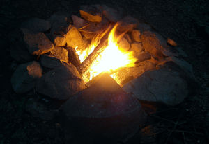 SAM_7688