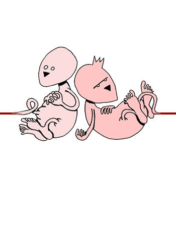 Foetus & Foetus