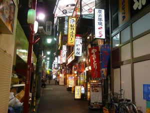 Canalblog_Rues_Plantes18_Shinjuku_Nuit_Omoide_Yokocho