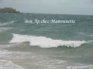 Saint Malo août 2013-2 069