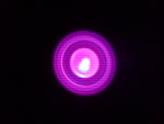 Living_colors_2