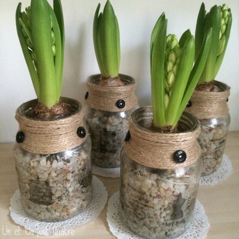 Pots à jacinthe (1)