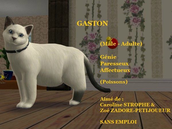 GASTON