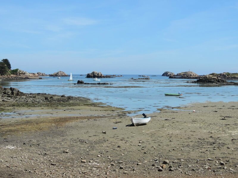 _copie-0_DSCN9143
