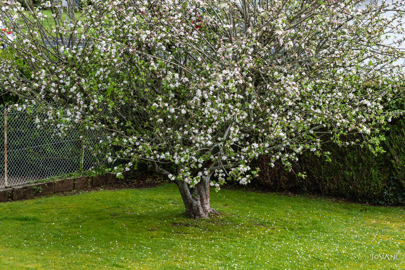 11042019-_MG_5210