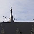 IMGP6029
