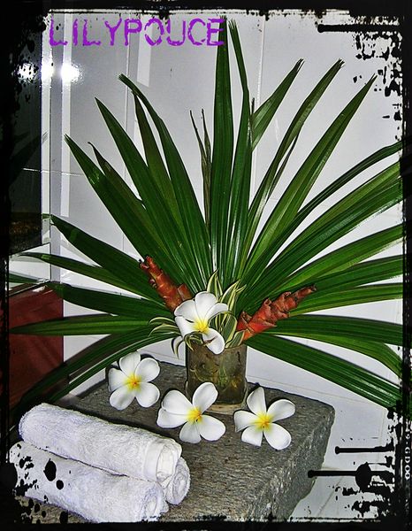 DSCN1725_2