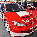 Peugeot 206 WRC_04 - 2003 [F] HL_GF