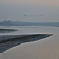IMG_9171