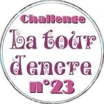 challenge23