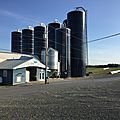 IMG_0626