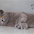 _DSC0748