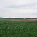 P1070578