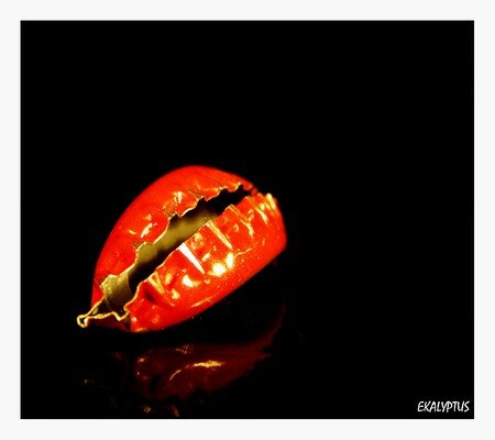CAPSULE
