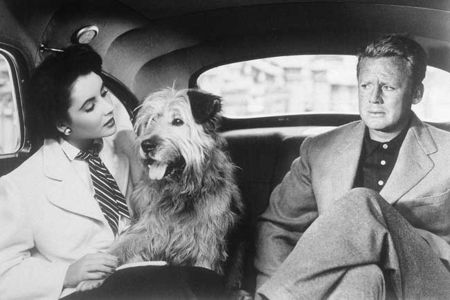 the_big_hangover_1950_22203_1690312030