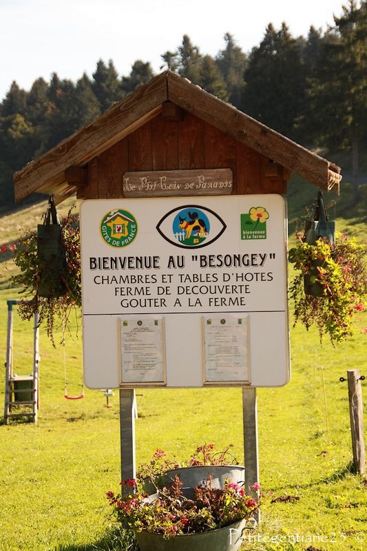 La Balade Du Dimanche A La Ferme Du Besongey A Arc Sous Cicon Dans Le Haut Doubs Tout Le Monde A Table