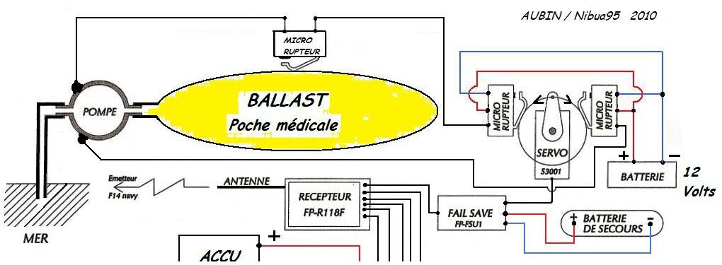 beaucoup de branchement de poissons