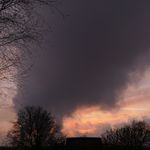 2012-01-283