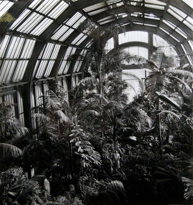 serres du jardin des plantes vues par Robert Doisneau