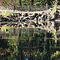 IMG_0582