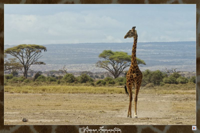Kenya 5b