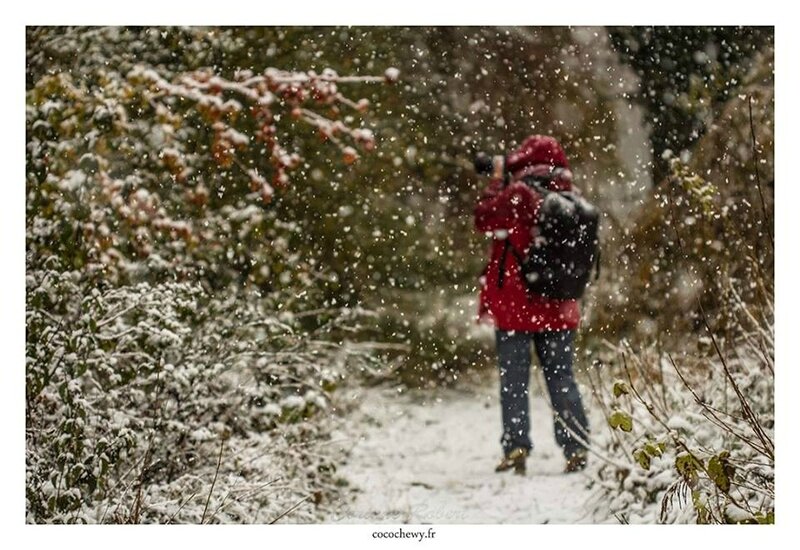 w_Dans la neige par Corinne_n