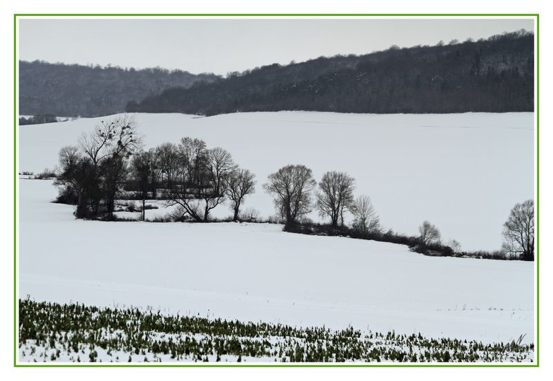 Neige_2010_12_19_1535_GF