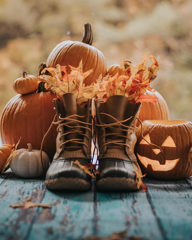 by A FULL autumn