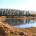 IMG_3622
