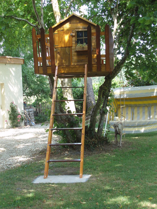 cabane - Graine de Tortue