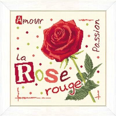 J015 La rose rouge
