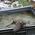 IMG_4276
