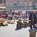 IMGP8861