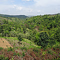 Birmanie - deux nouvelles aires forestières protégées
