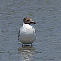 P1030364 (2)