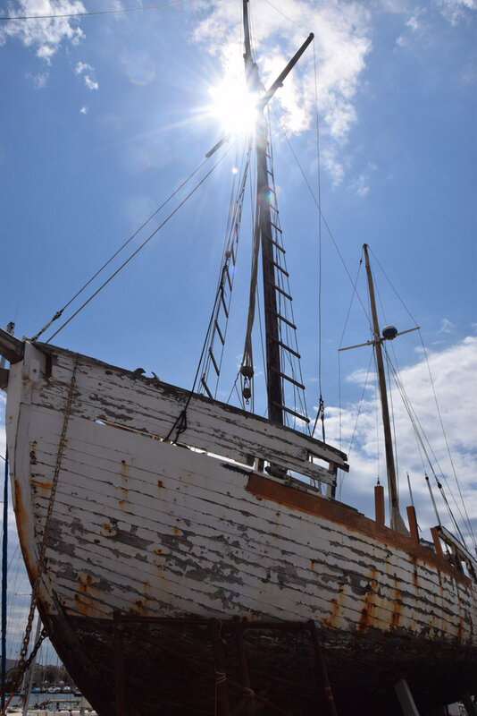 190502 Nikon 055