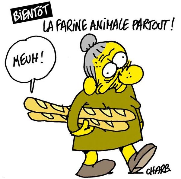 993_Charb_FarineAnimale