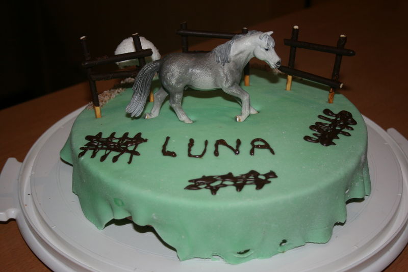 Gateau D Anniversaire De Luna Esprit Gateaux